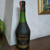 Brandy Debussy Napoleon V.S.O.P da collezione