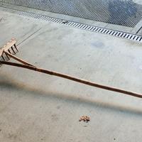 Rastrello antico in legno fatto a mano, degli anni