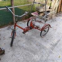 Triciclo bicicletta 