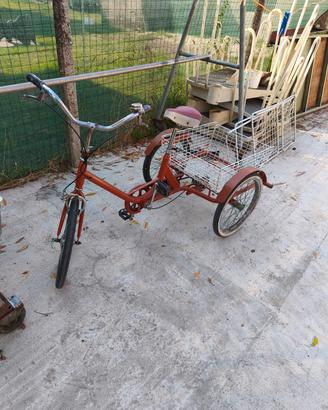 Triciclo bicicletta 