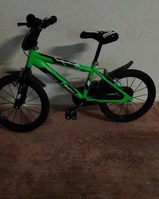 bicicletta bambino  dinobikes