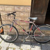 Bicicletta 26”