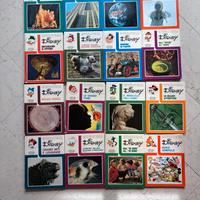 Enciclopedia Disney