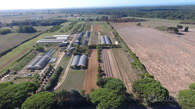 Terreno agricolo via di Castel Romano 4 ettari