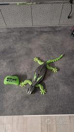gioco  salamandra