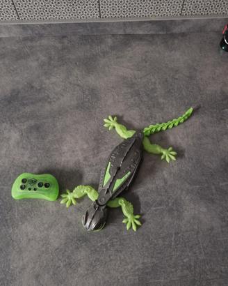 gioco  salamandra