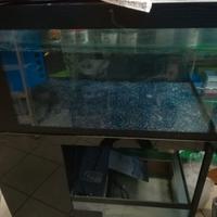 Acquario da 200 litri