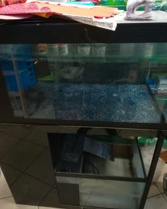 Acquario da 200 litri