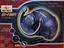 Immagine 1
