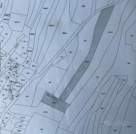 Vendo Terreno Agricolo