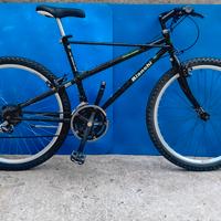 mtb Bianchi wintag .
