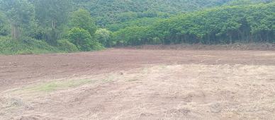 Terreno agricolo