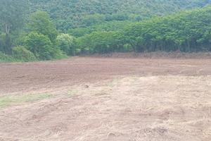 Terreno agricolo