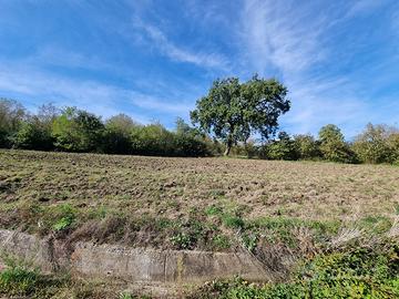 Terreno agricolo panoramico e soleggiato