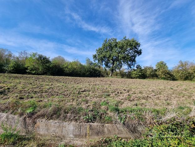 Terreno agricolo panoramico e soleggiato