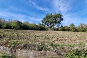 Terreno agricolo panoramico e soleggiato