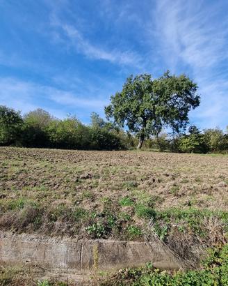 Terreno agricolo panoramico e soleggiato