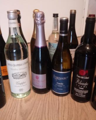 Anice grappa spumanti vini-14 bottiglie in blocco