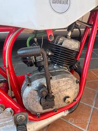 smembro minimoto cimatti Morini lem 