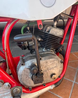 smembro minimoto cimatti Morini lem 