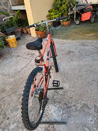 biciclette 