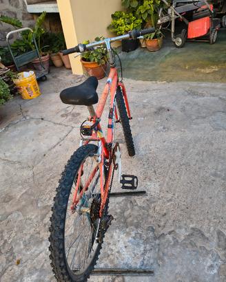 biciclette 
