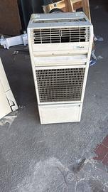 Condizionatore delchi