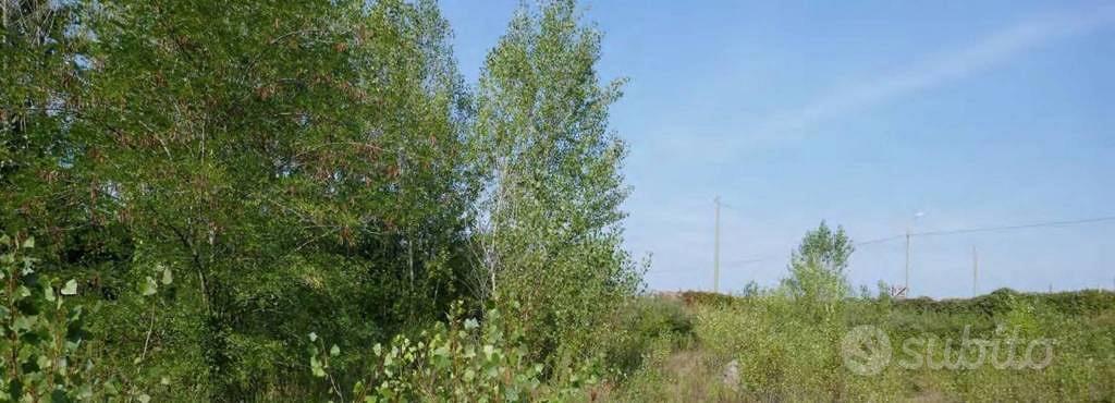 Immobile in asta di 3585 m² a Pozzo d'Adda - Altro