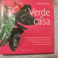 Il Grande Libro VERDE IN CASA - Manuale Completo G
