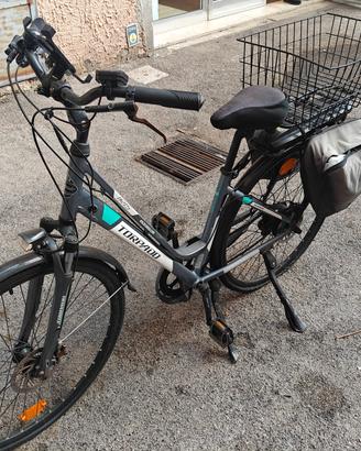 Bici Elettrica Torpado Iris T240D