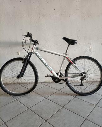 Bicicletta Olmo Mountain bike