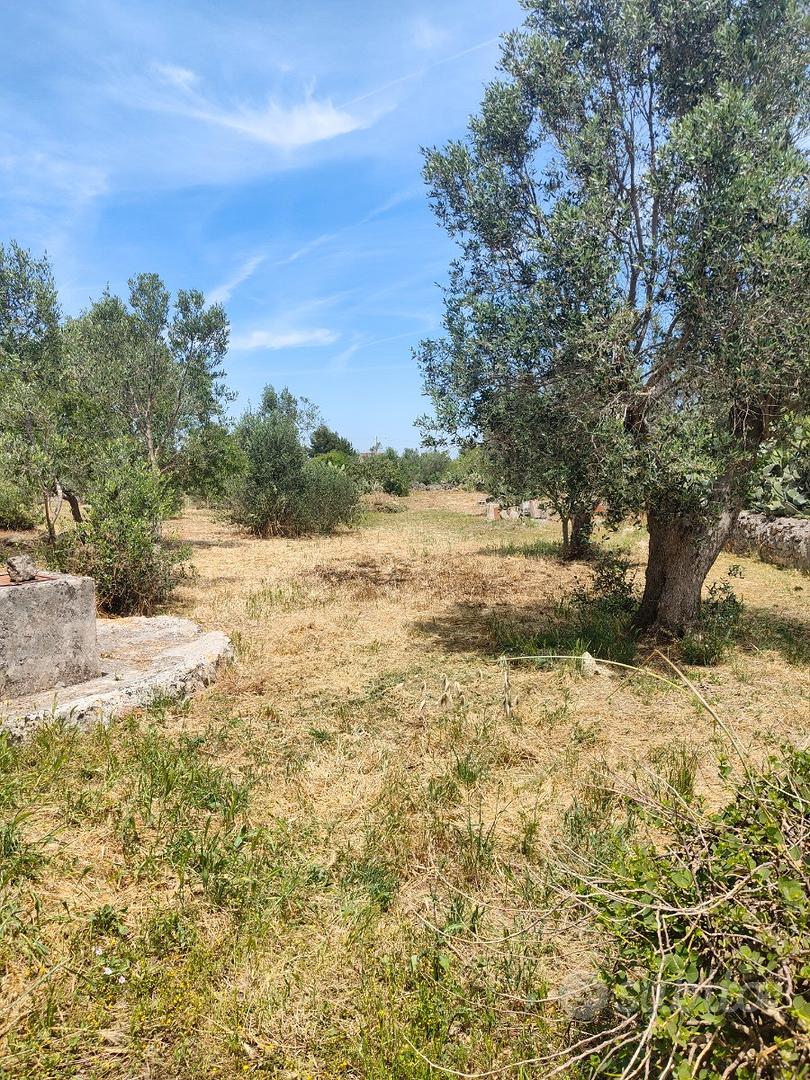 Terreno agricolo - Vista 4