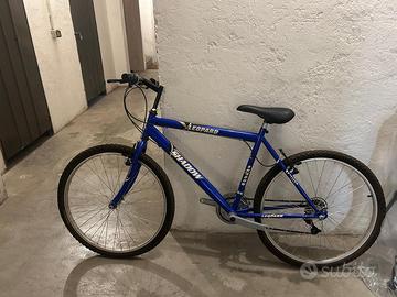 Bicicletta