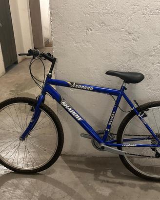 Bicicletta