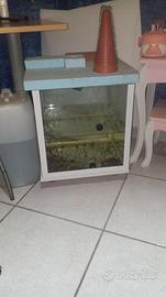 Acquario cubo 45x45x45
