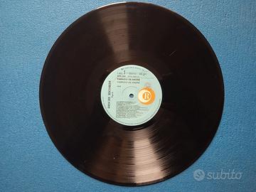 Dischi in vinile LP 33 giri