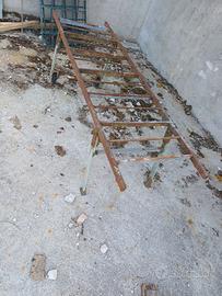 portantina per maiali