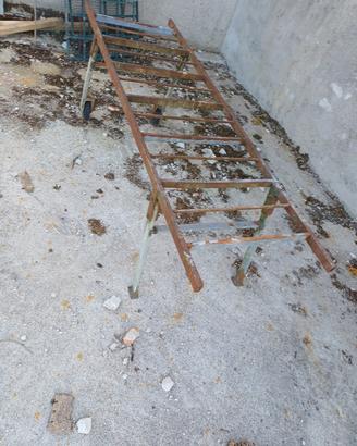 portantina per maiali