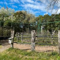 Giostra per movimento cavalli