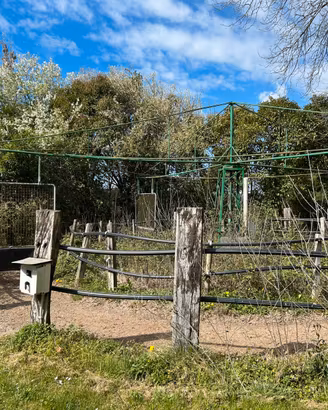 Giostra per movimento cavalli