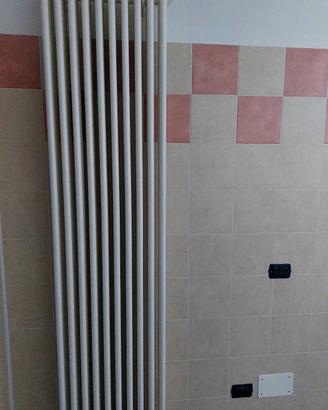 radiatore Irsap 2000/3 10 elementi