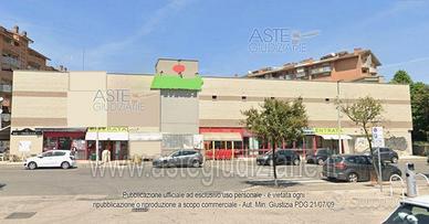 Attività Commerciale Pomezia [A4347821]