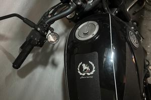 benelli 500