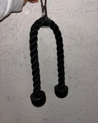 Gadget palestra