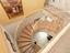 Immagine 22