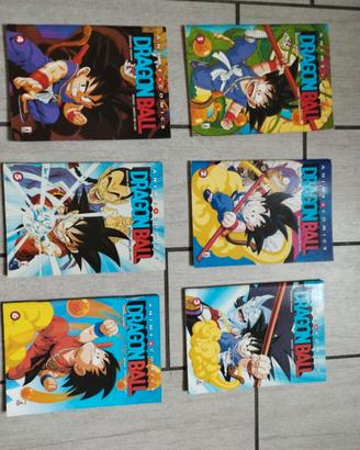 Lotto Completo 21 Anime Comics Dragon Ball