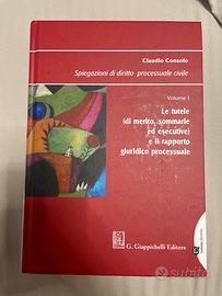 Libro di spiegazioni di diritto processuale civile