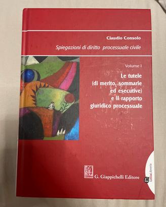 Libro di spiegazioni di diritto processuale civile