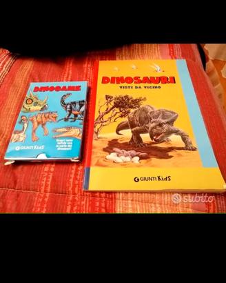 Libro e carte da gioco dei dinosauri 