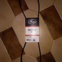 Cinghia servizi gates